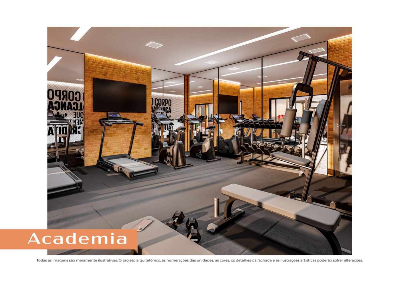 Academia